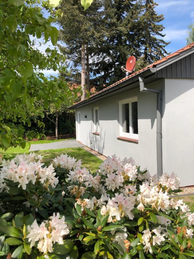 Villa Kleine Auszeit In Salzhausen Exterior foto